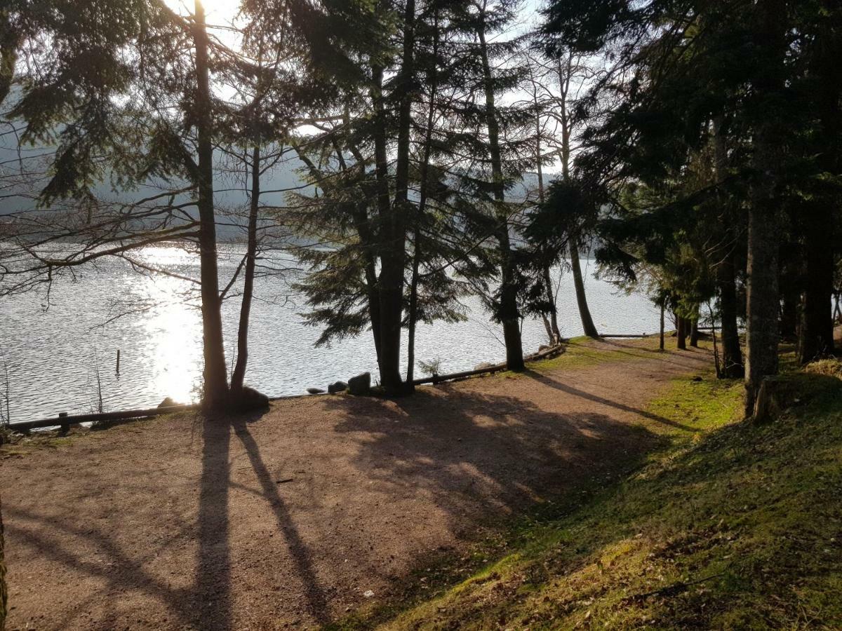 A 2 Pas Du Lac Apartment Xonrupt-Longemer ภายนอก รูปภาพ